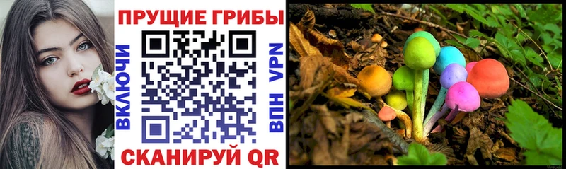 Купить Собинка Псилоцибиновые грибы MAGIC MUSHROOMS